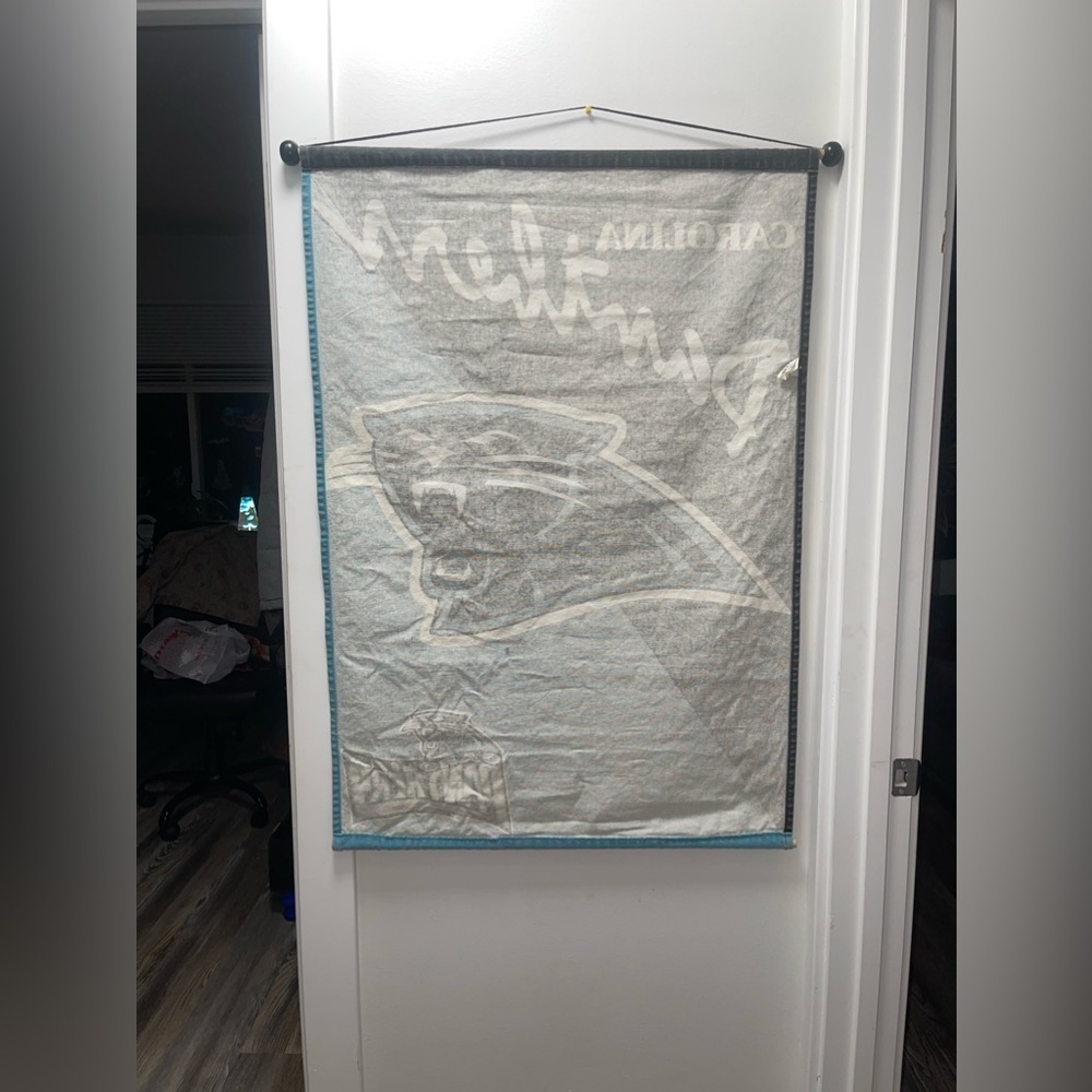 Carolina Panthers Wall Hanging - Picture 2 of 5